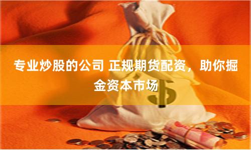 专业炒股的公司 正规期货配资，助你掘金资本市场